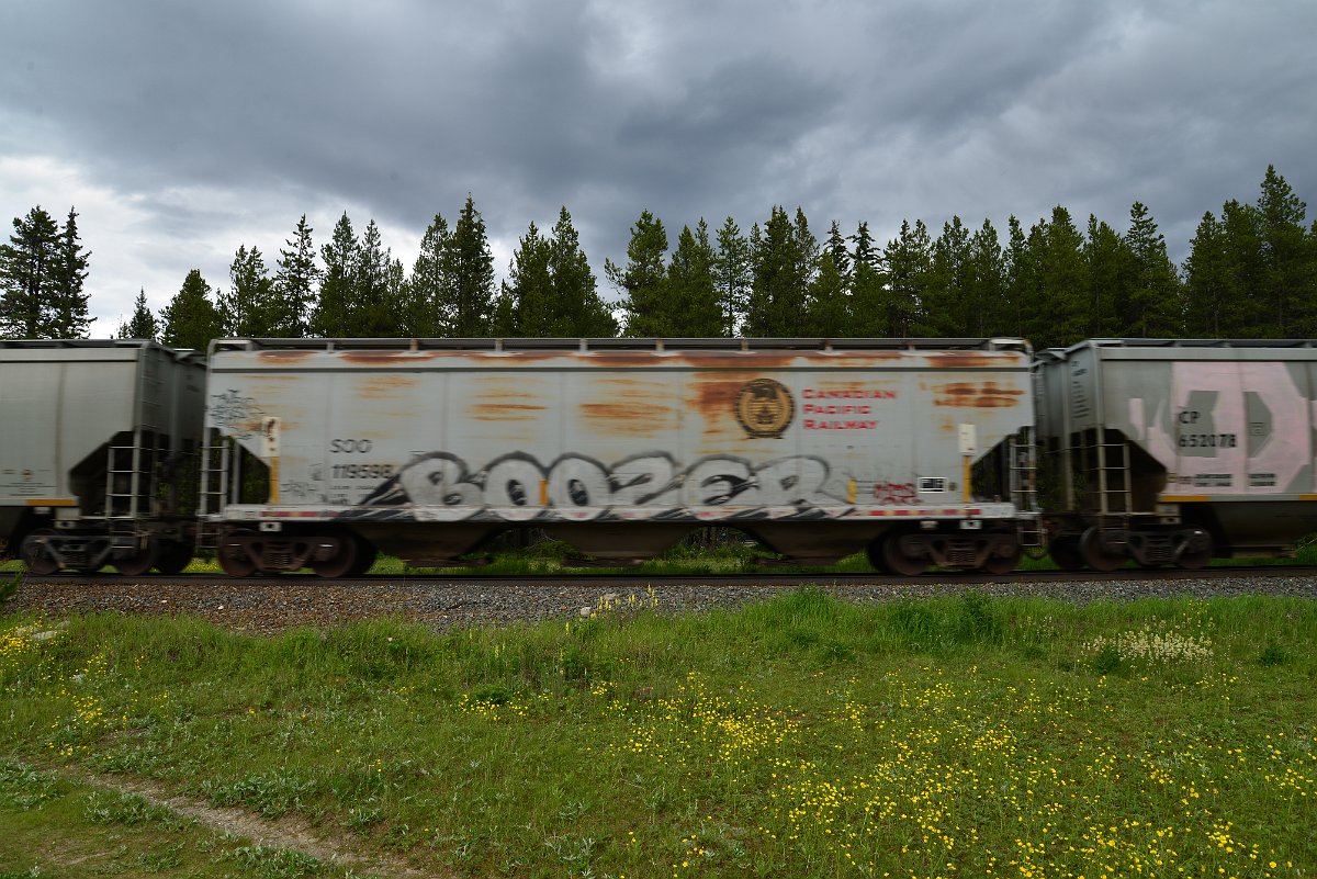 DSC_2948.JPG