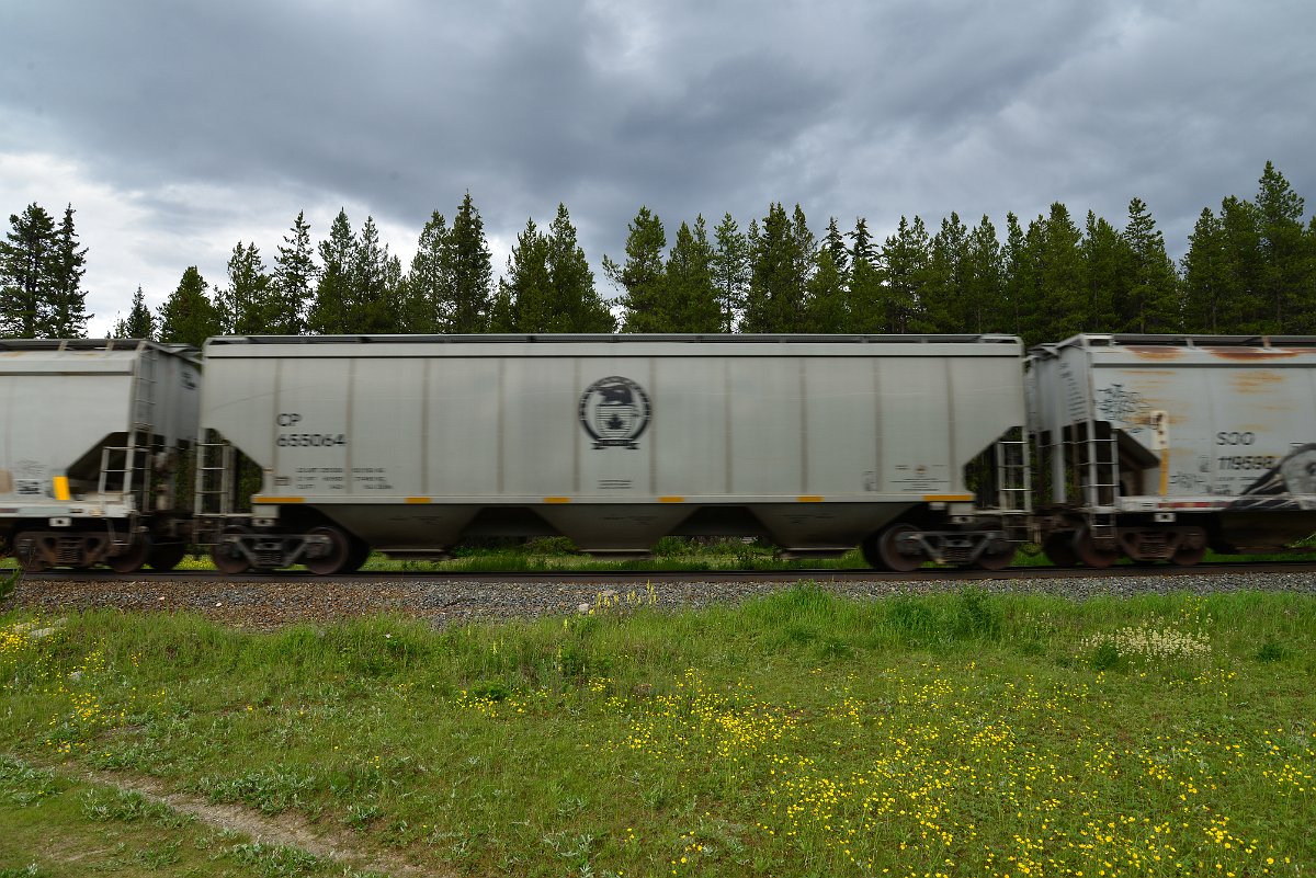 DSC_2949.JPG