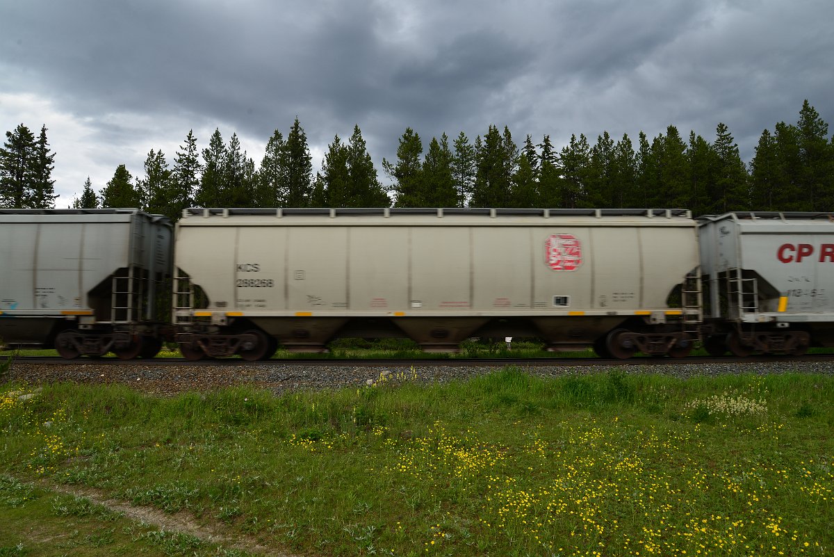 DSC_2951.JPG