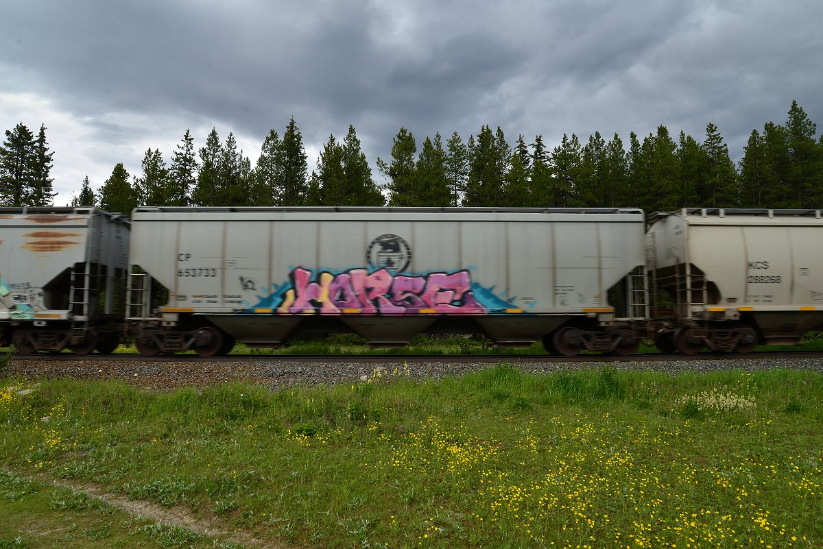 DSC_2952.JPG