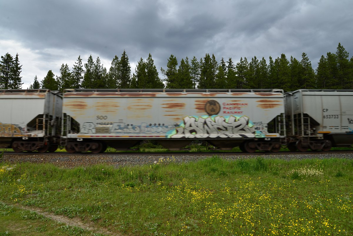 DSC_2953.JPG