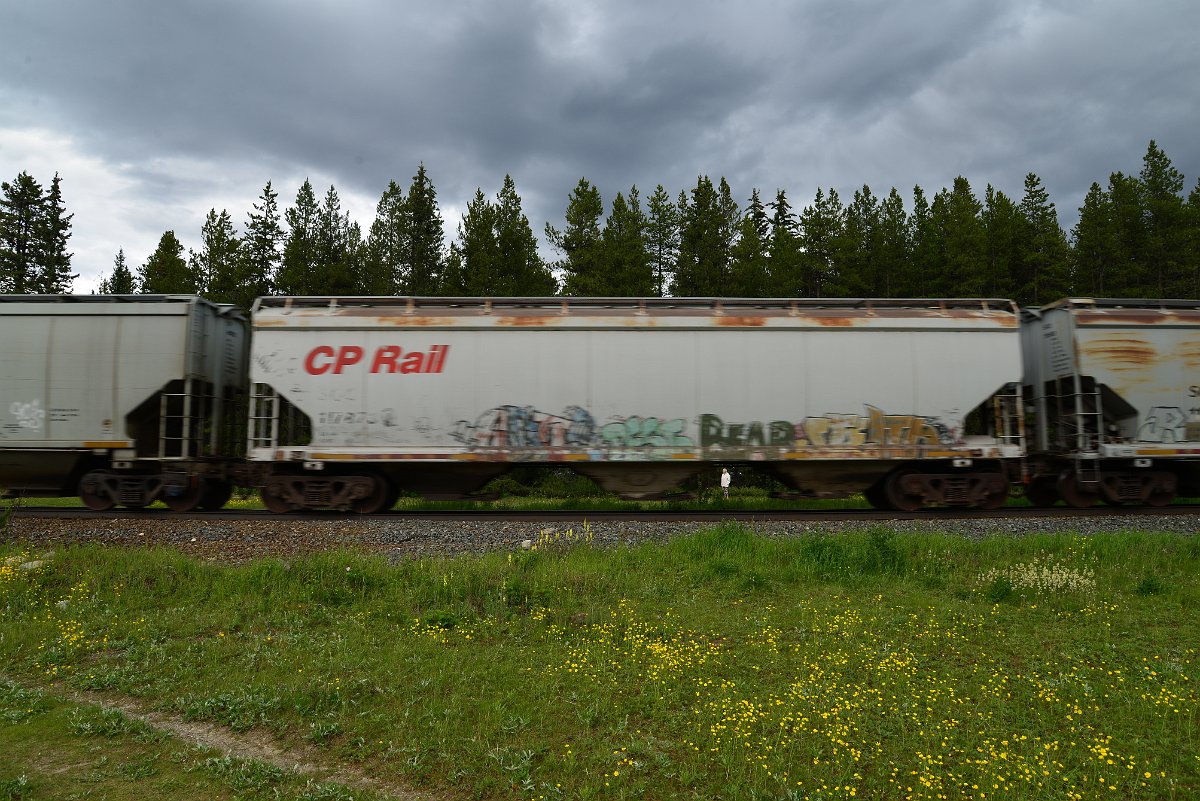 DSC_2954.JPG