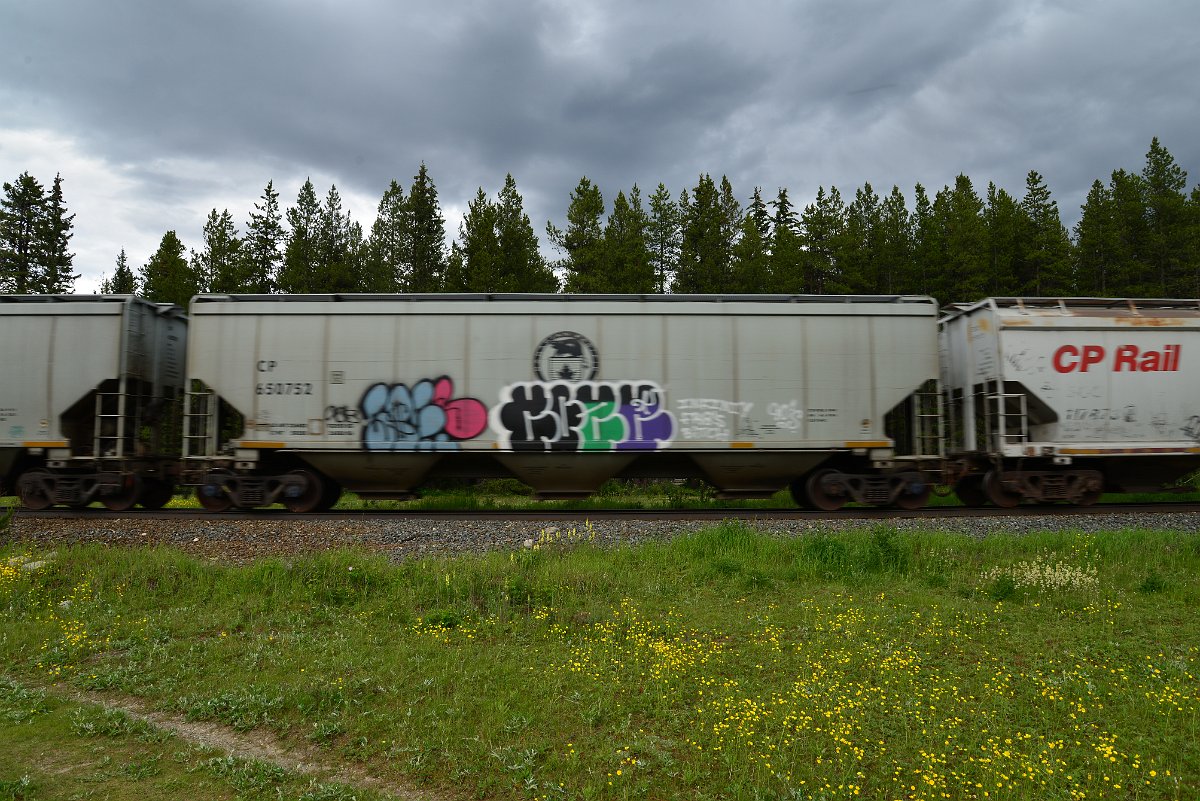 DSC_2955.JPG