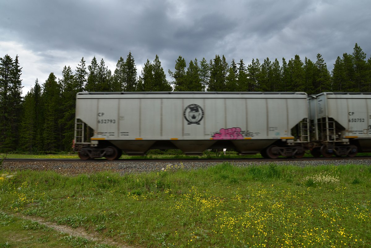 DSC_2956.JPG