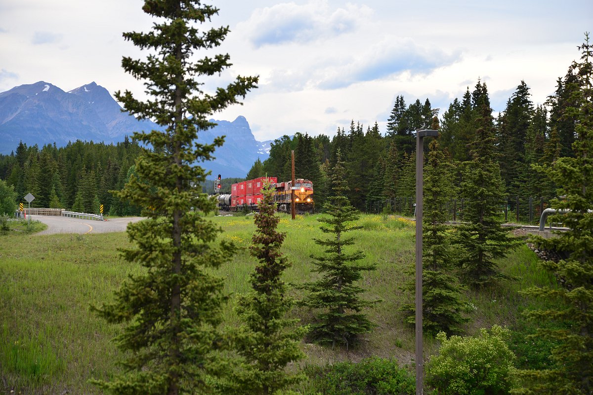 DSC_2957.JPG