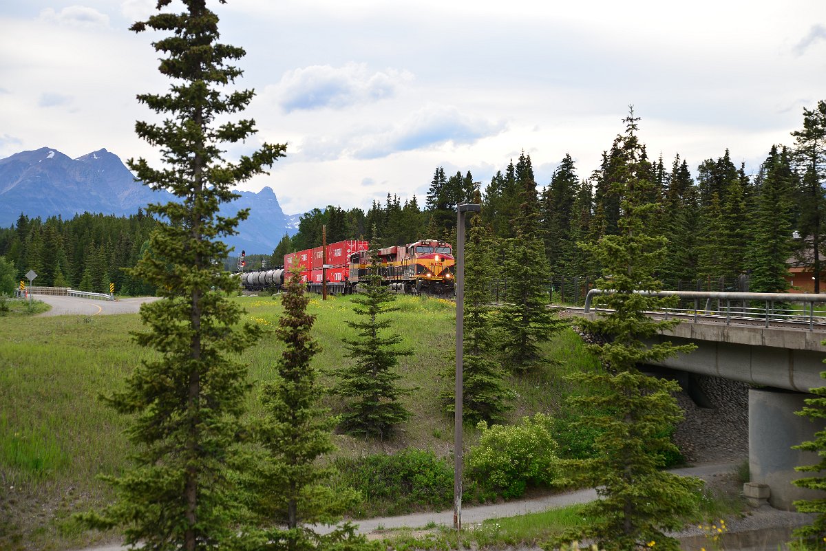 DSC_2958.JPG