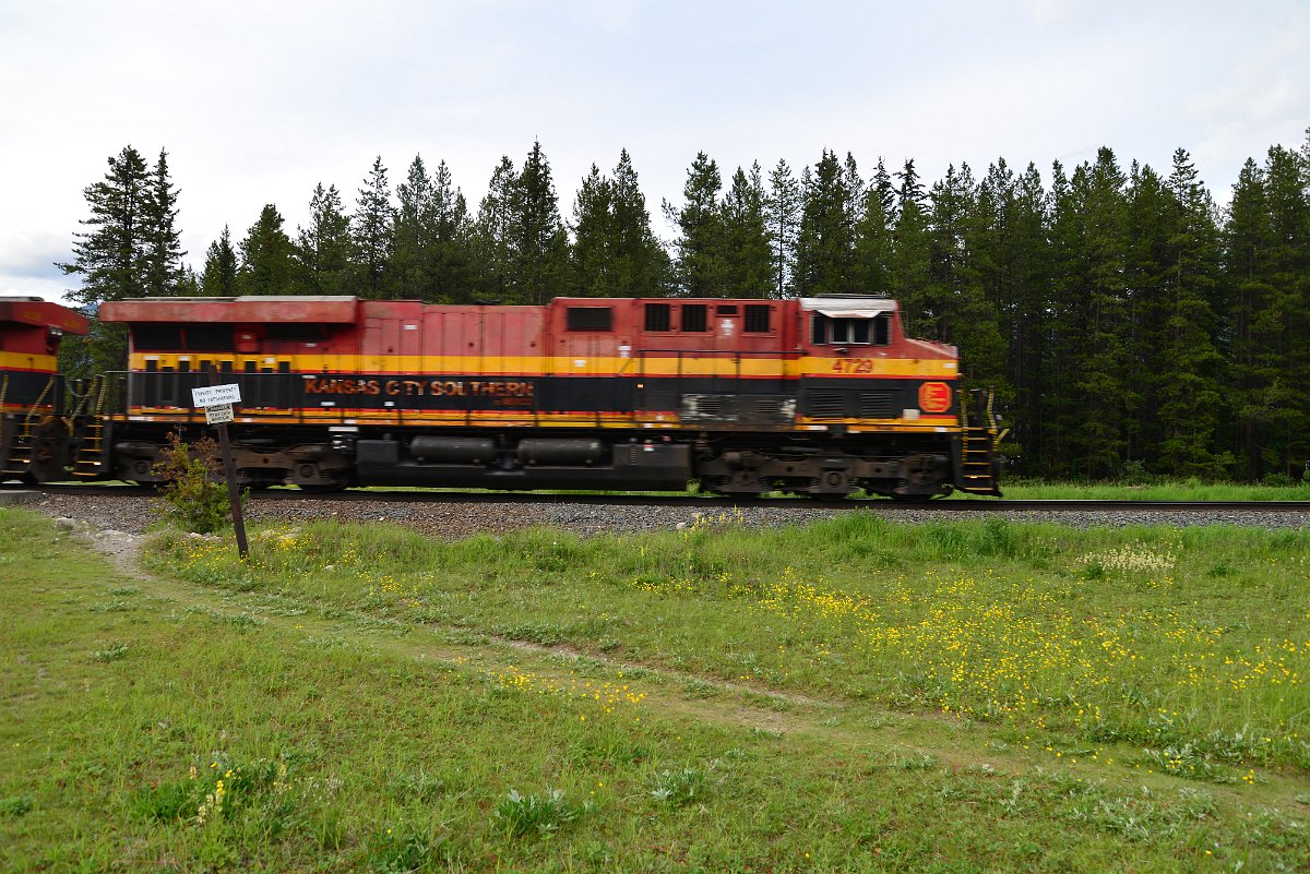 DSC_2960.JPG