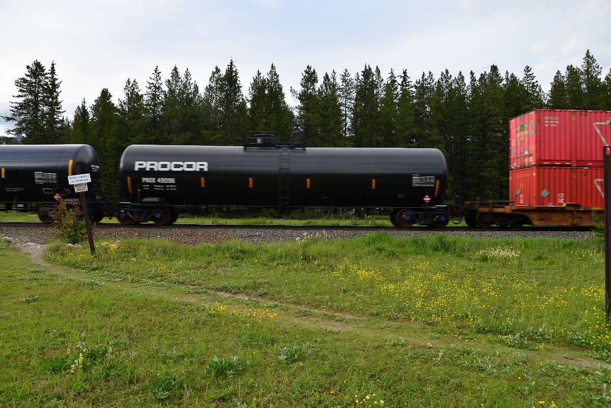 DSC_2966.JPG