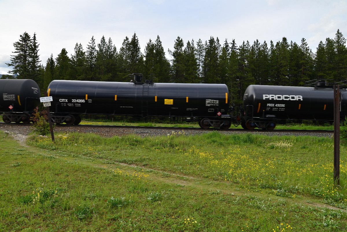 DSC_2967.JPG