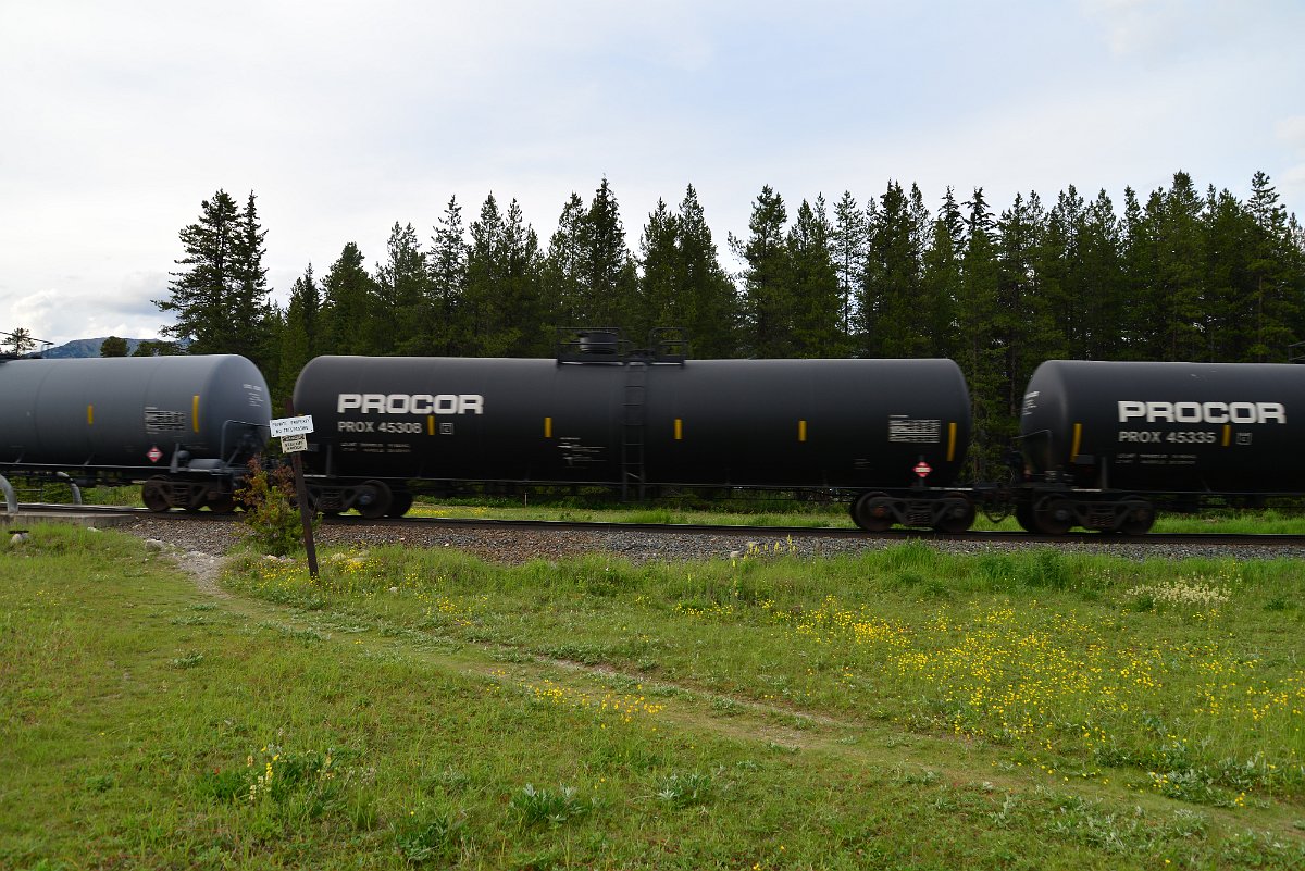 DSC_2969.JPG