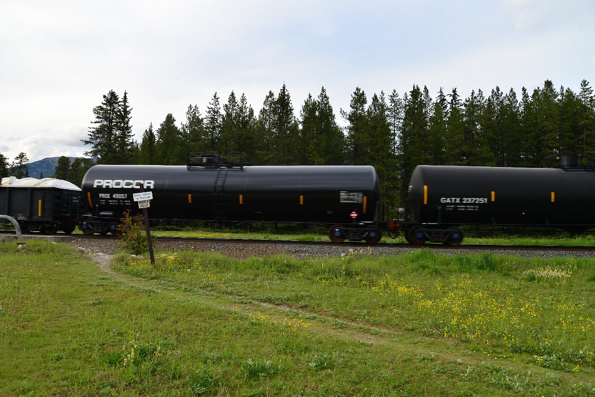 DSC_2973.JPG