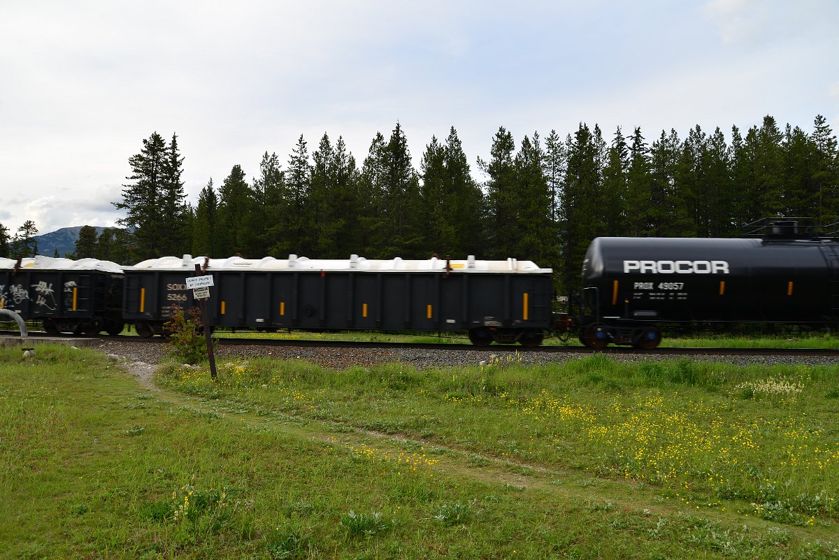 DSC_2974.JPG