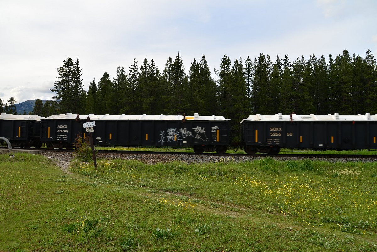 DSC_2975.JPG