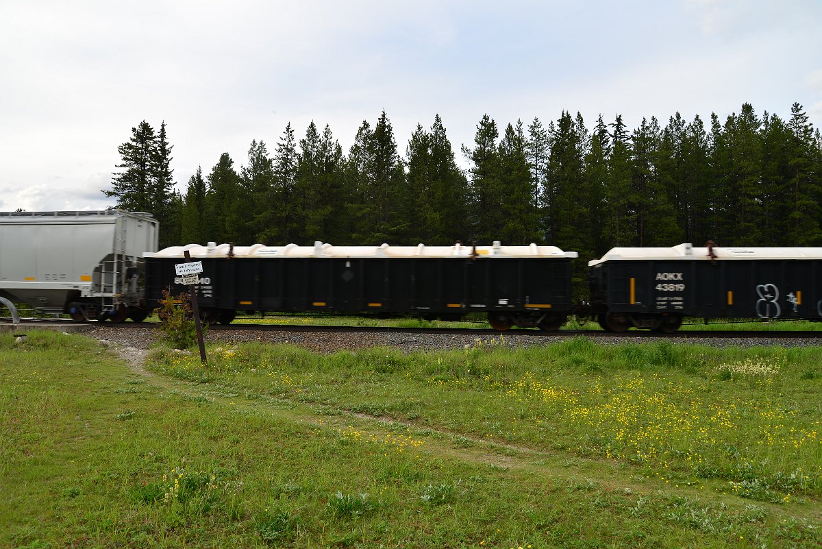 DSC_2977.JPG
