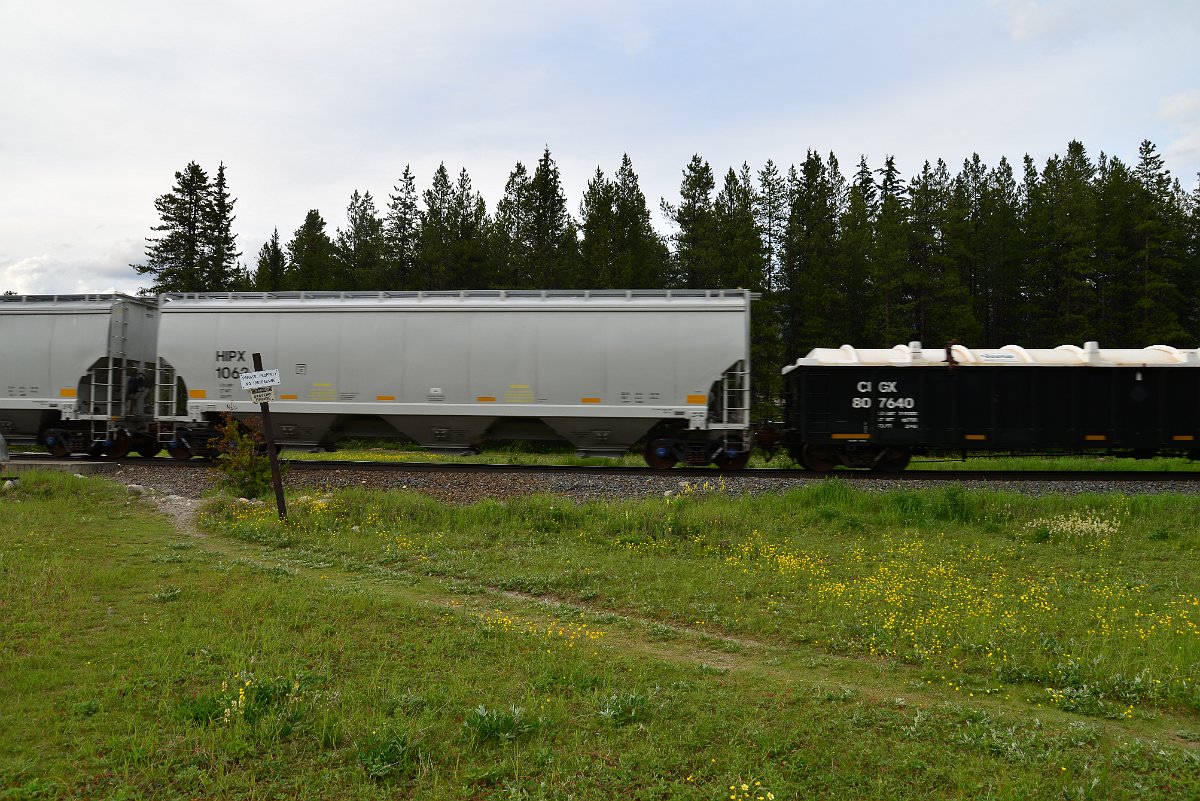 DSC_2978.JPG