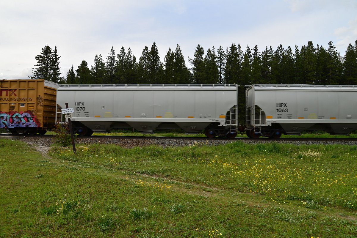 DSC_2979.JPG