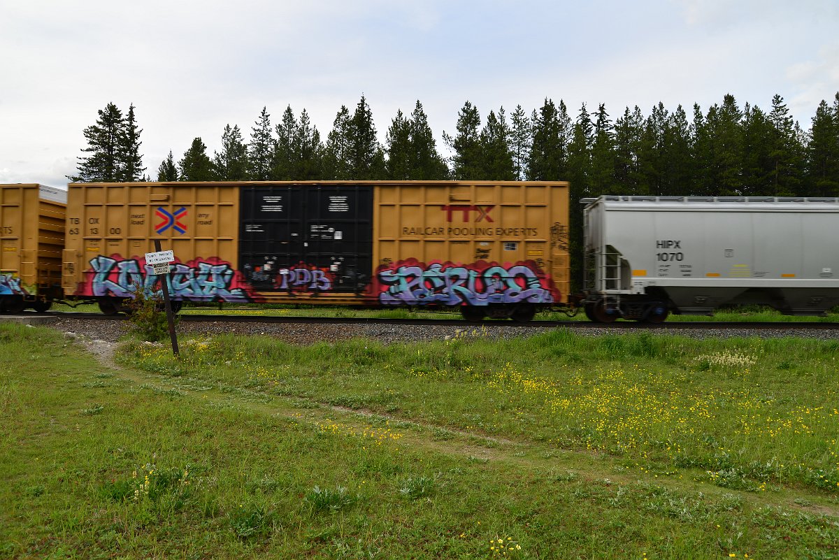 DSC_2980.JPG