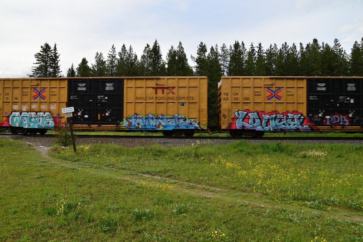 DSC_2981.JPG