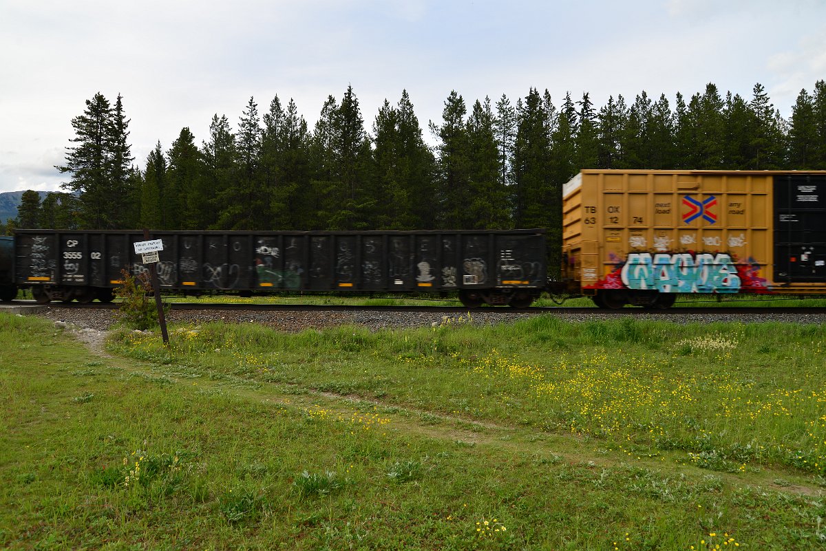 DSC_2982.JPG
