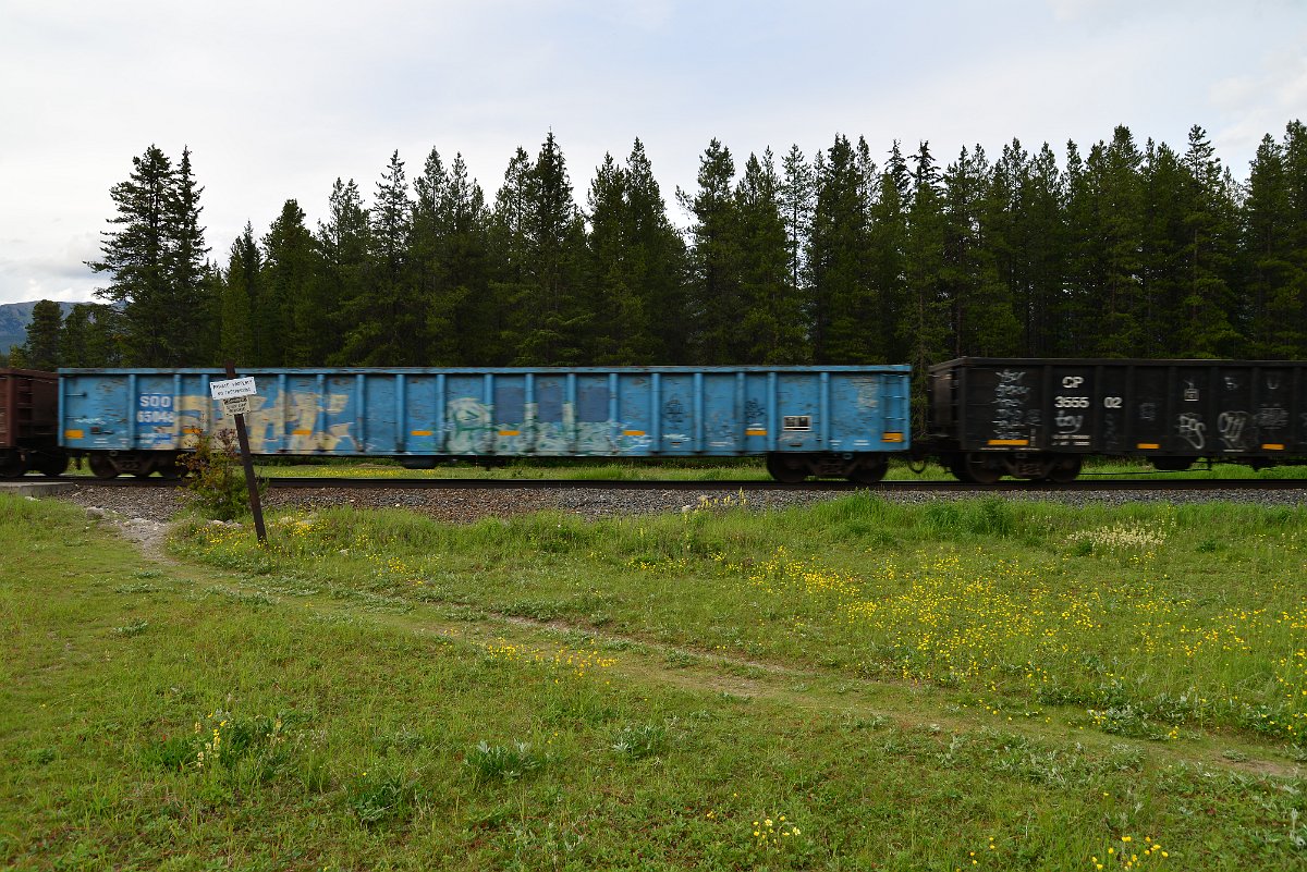 DSC_2983.JPG