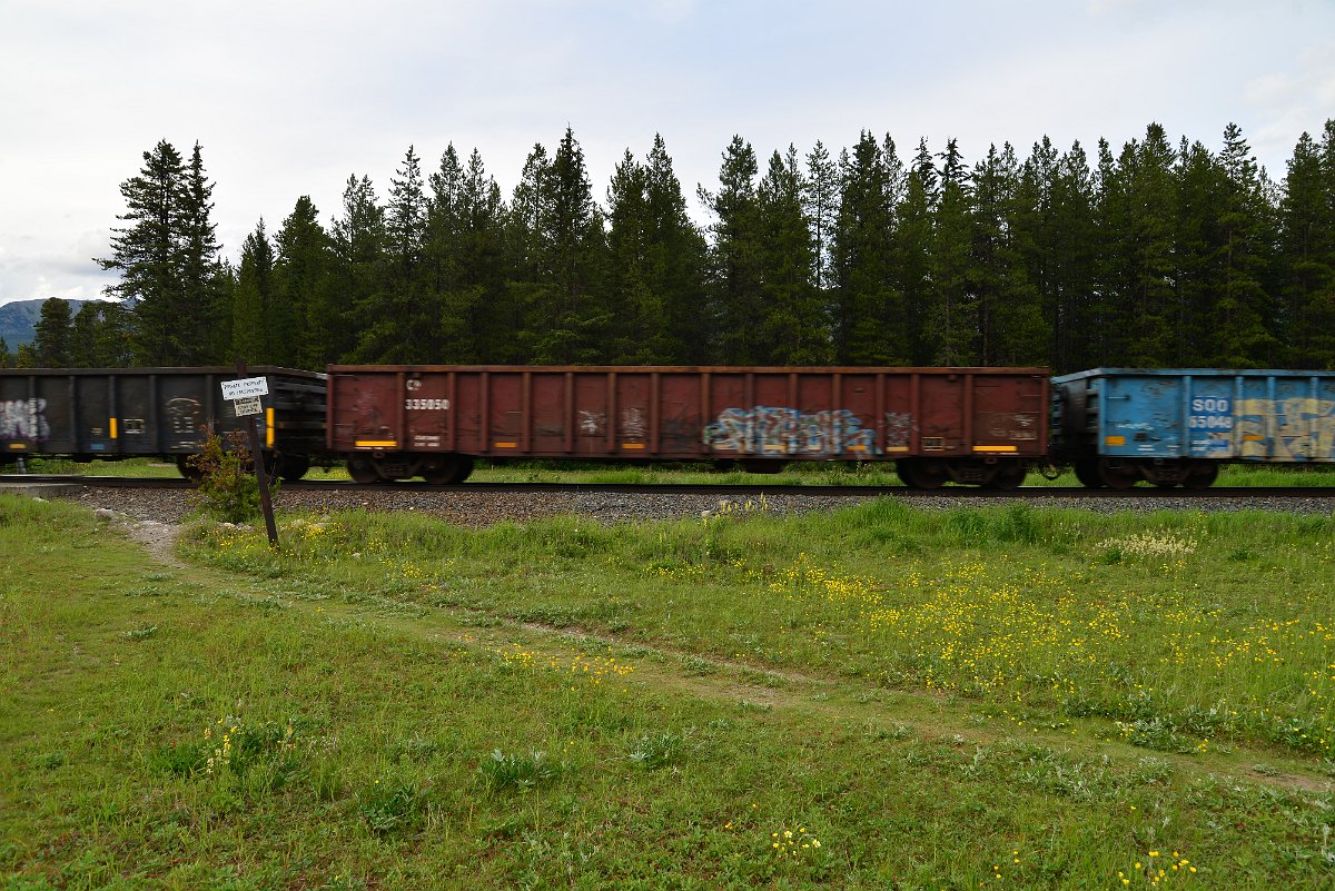 DSC_2984.JPG