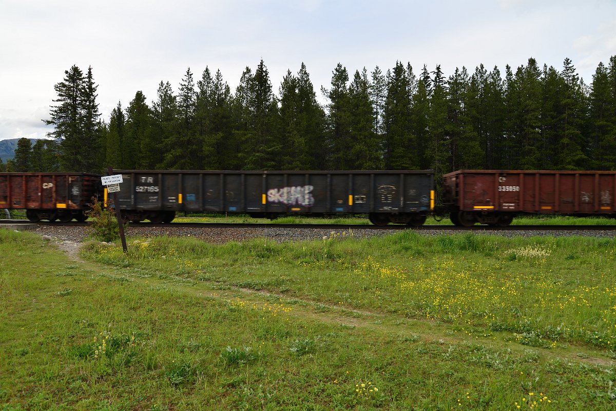 DSC_2985.JPG