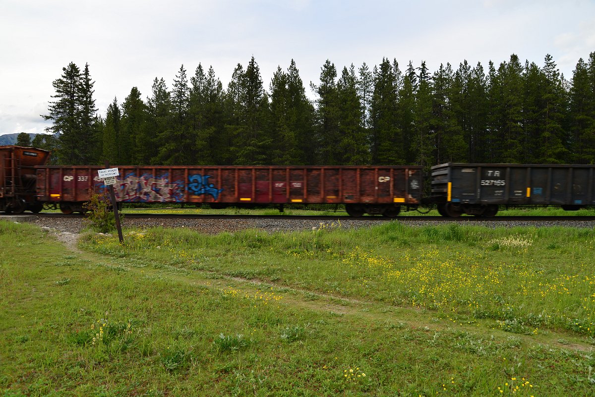DSC_2986.JPG