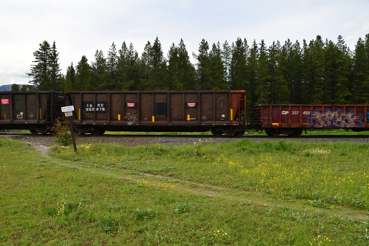 DSC_2987.JPG