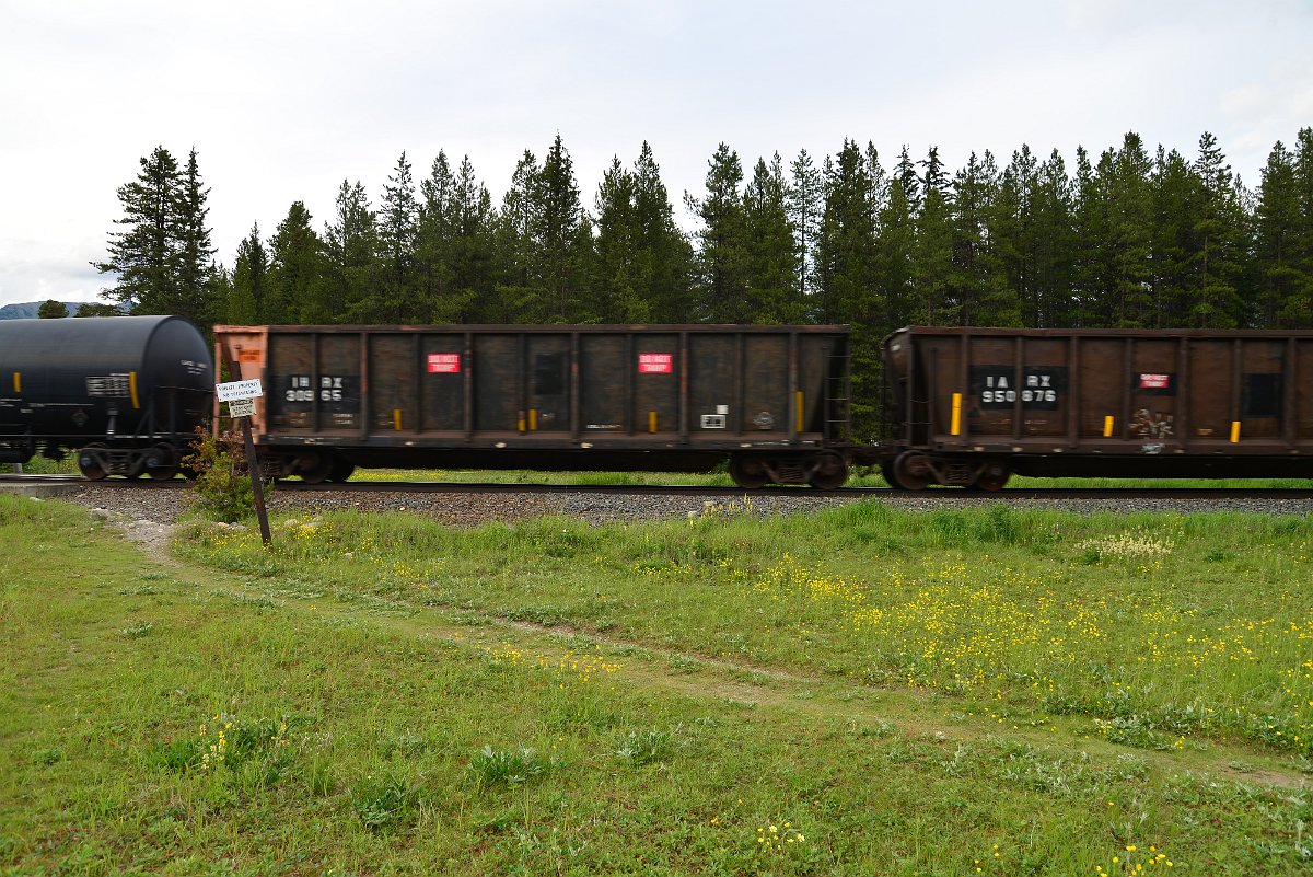 DSC_2988.JPG