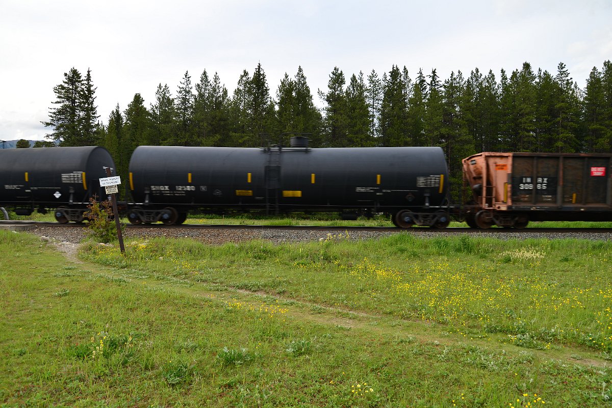 DSC_2989.JPG