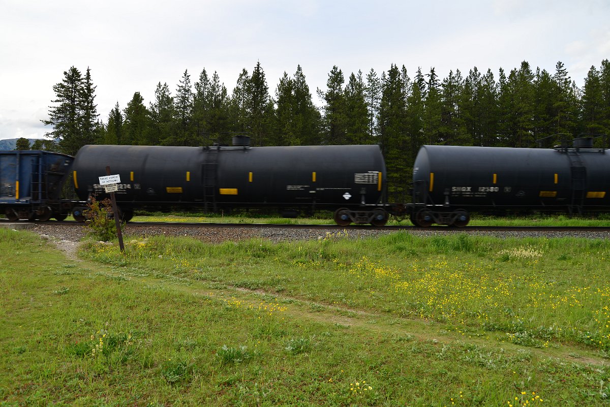 DSC_2990.JPG