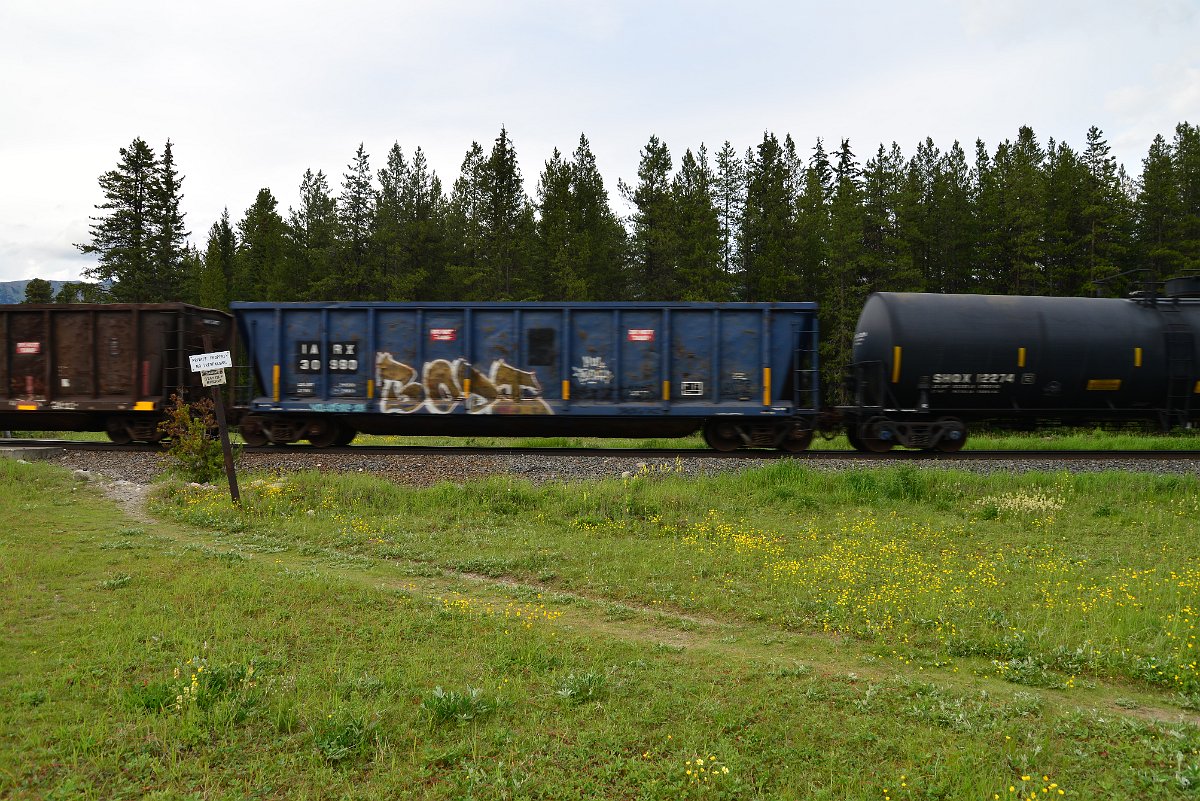 DSC_2991.JPG