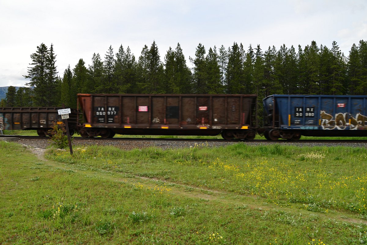 DSC_2992.JPG