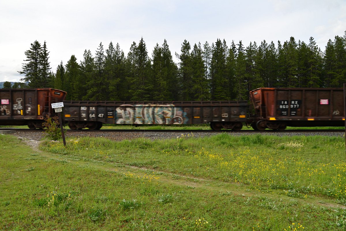 DSC_2993.JPG