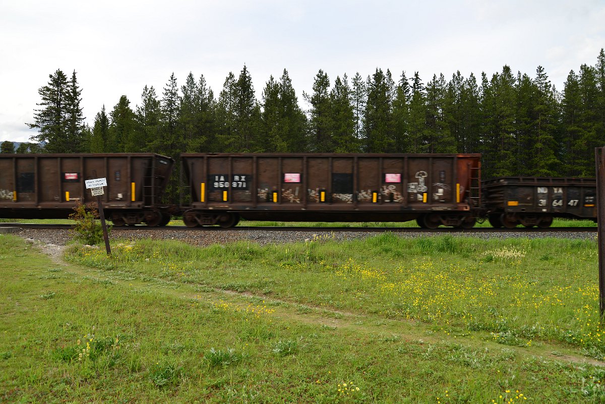 DSC_2994.JPG