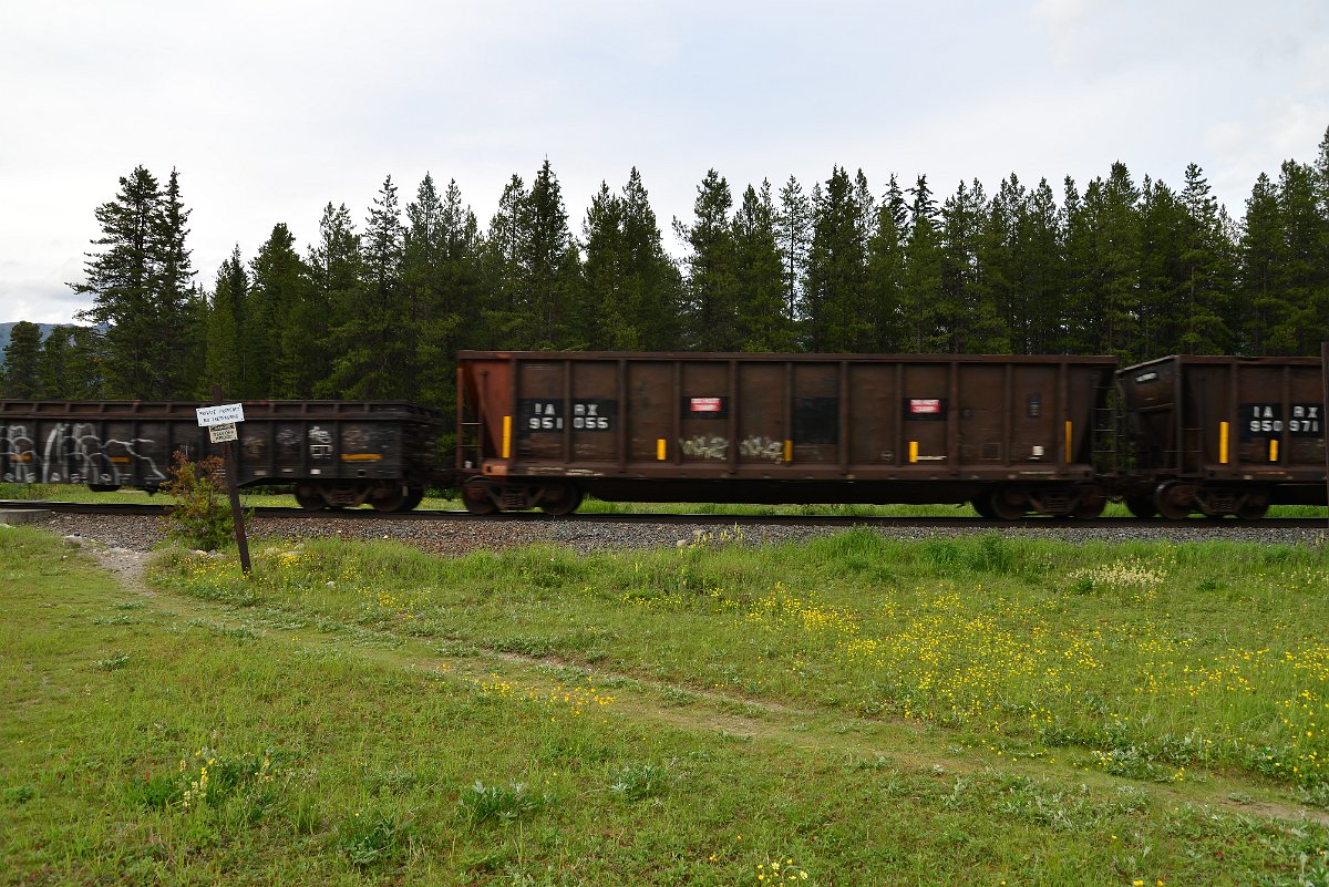 DSC_2995.JPG