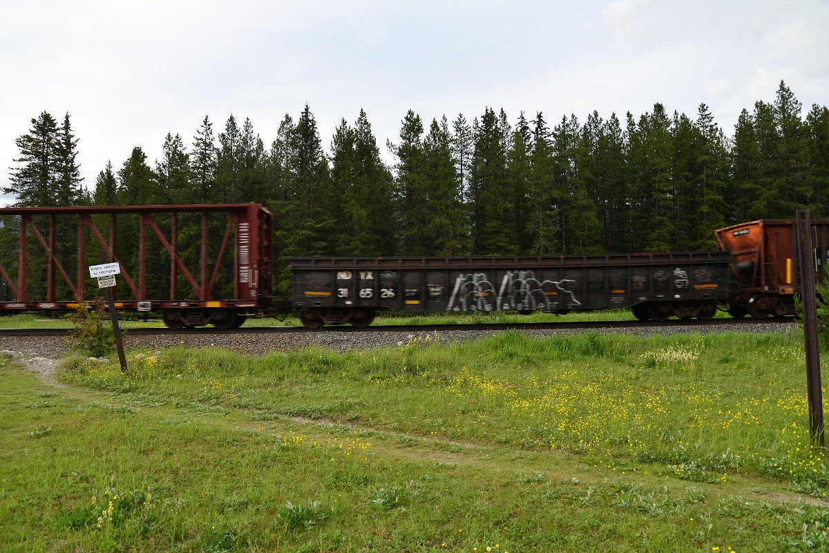 DSC_2996.JPG