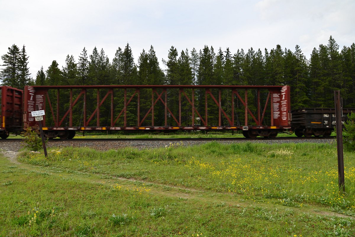 DSC_2997.JPG