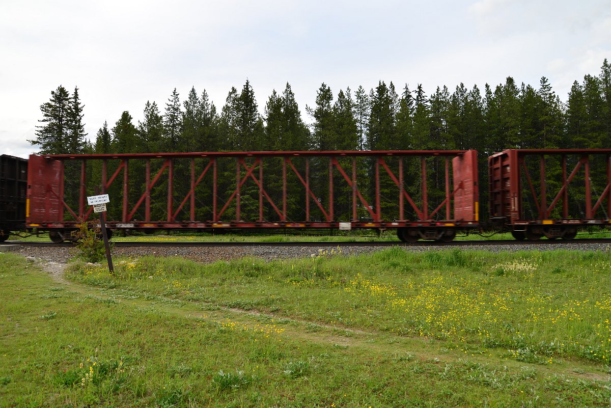 DSC_2998.JPG