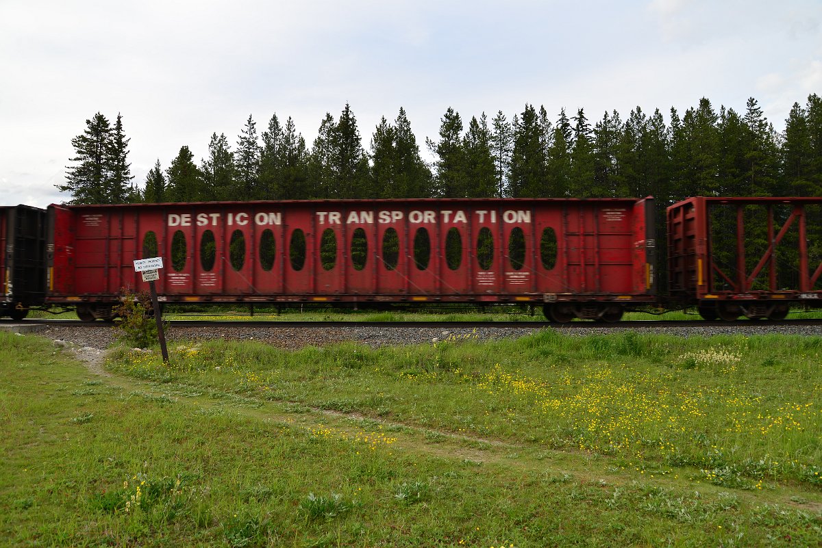 DSC_2999.JPG