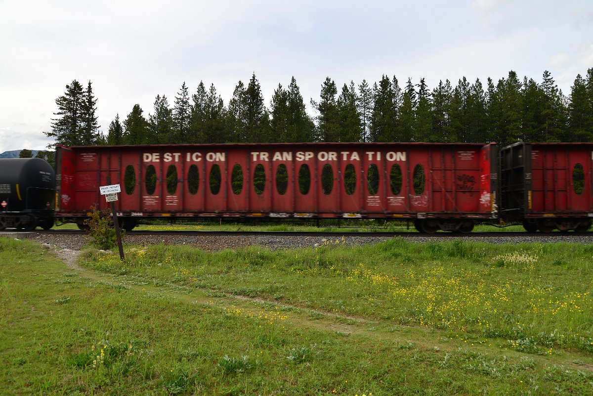 DSC_3000.JPG