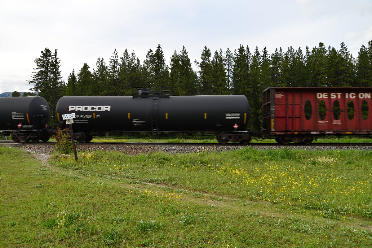 DSC_3001.JPG