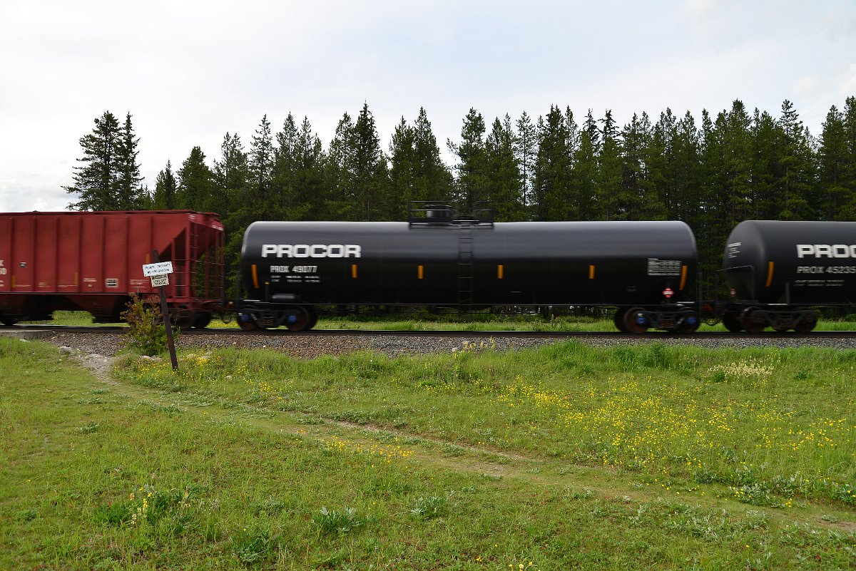 DSC_3003.JPG