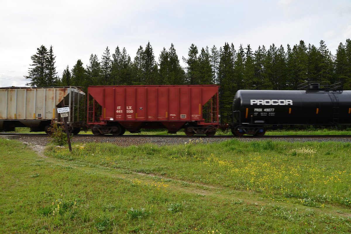 DSC_3004.JPG