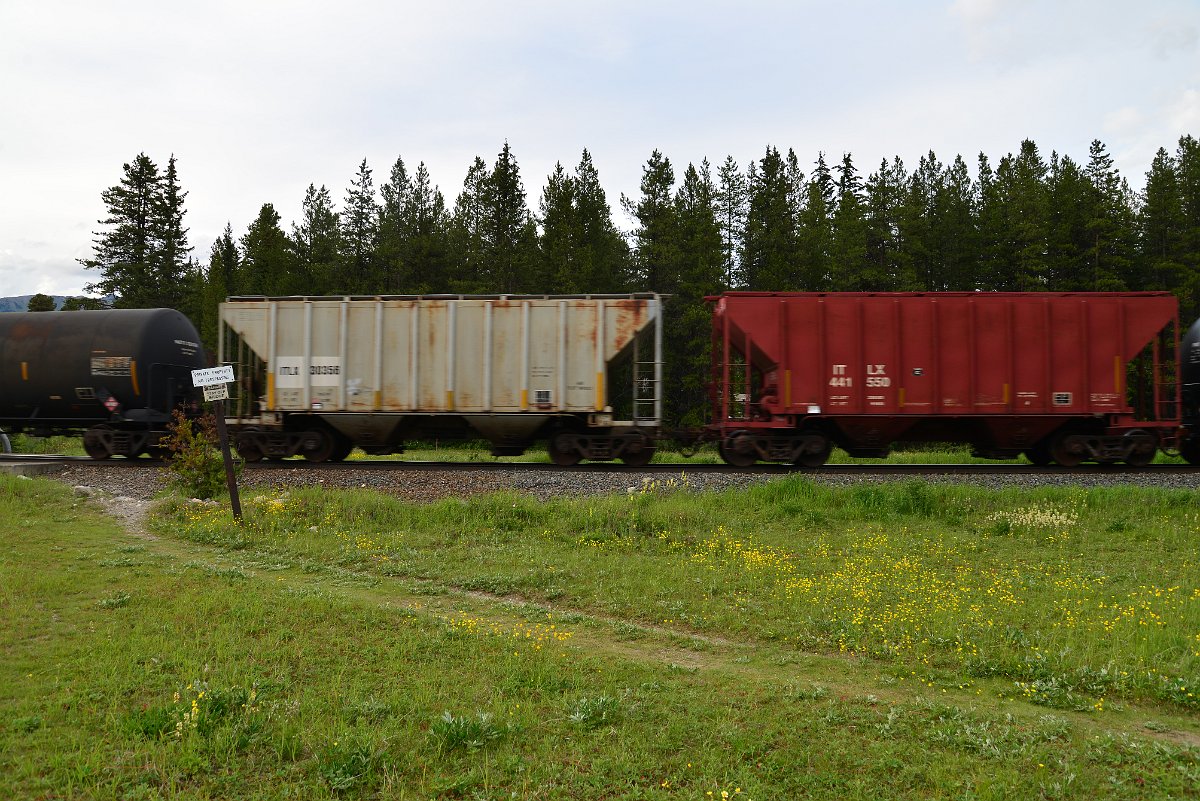 DSC_3005.JPG