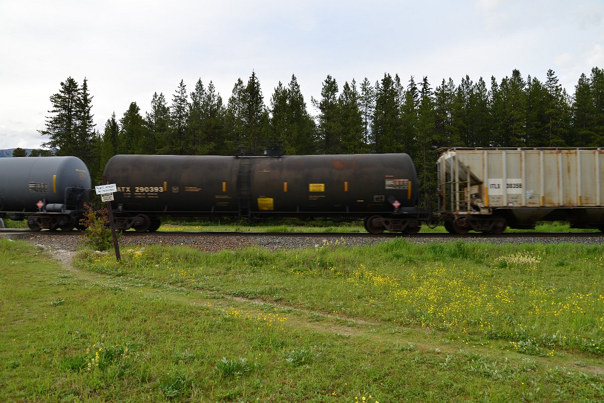DSC_3006.JPG