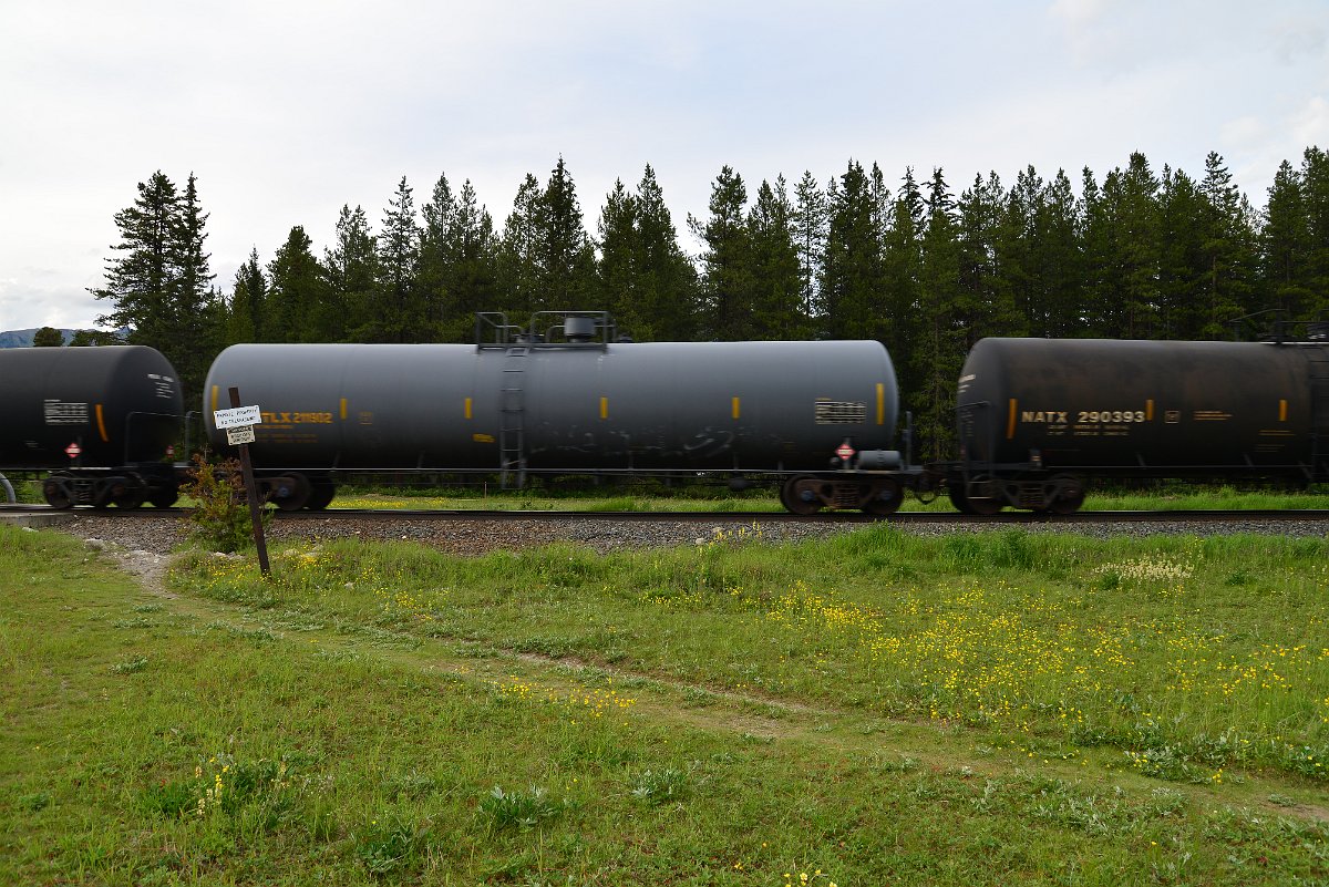 DSC_3007.JPG