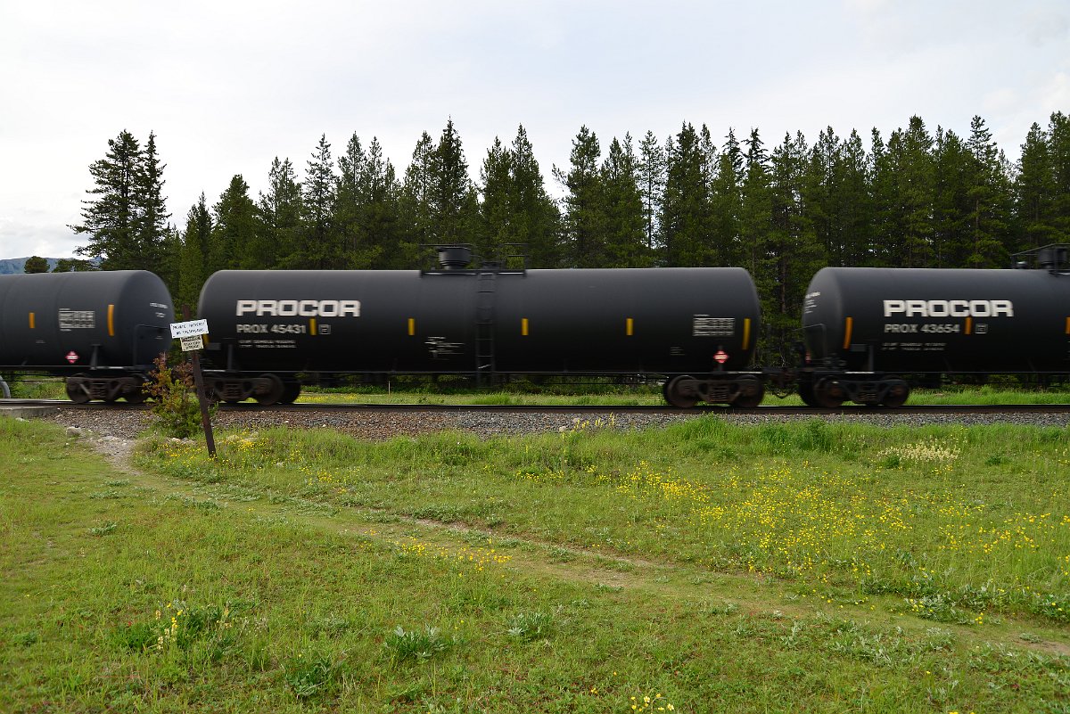 DSC_3009.JPG