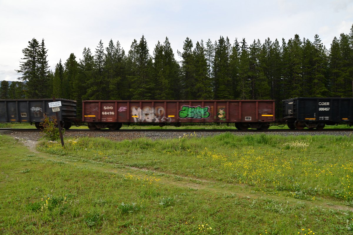 DSC_3012.JPG