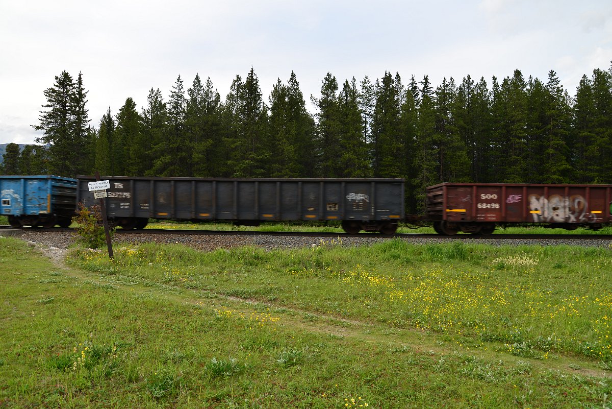 DSC_3013.JPG